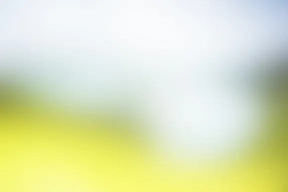 Mint Casino Ënnerstëtzung